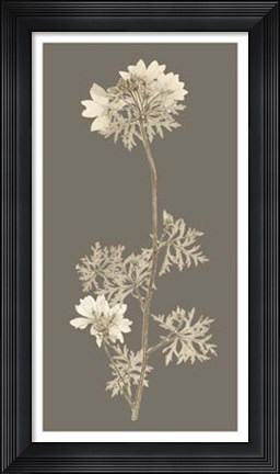 Framed Taupe Nature Study II Print