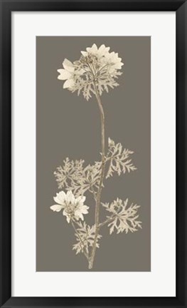 Framed Taupe Nature Study II Print