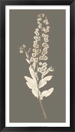 Framed Taupe Nature Study III Print