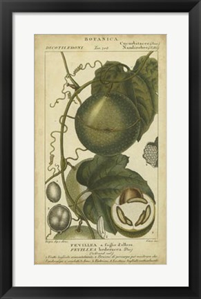 Framed Exotic Botanica I Print