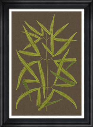 Framed Ferns on Linen I Print