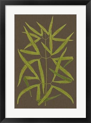 Framed Ferns on Linen I Print