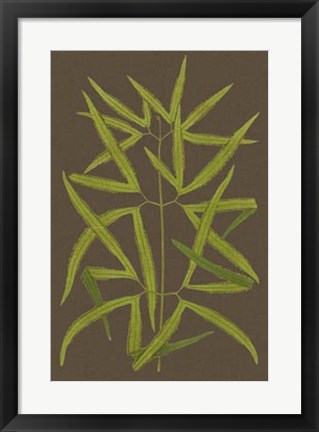 Framed Ferns on Linen I Print