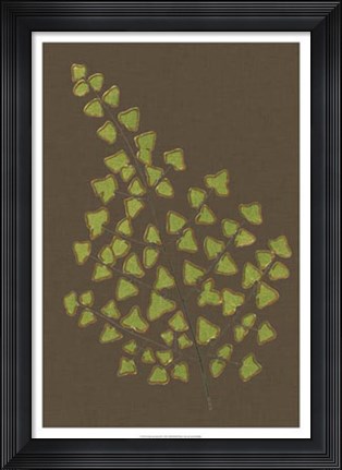 Framed Ferns on Linen III Print
