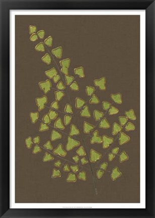 Framed Ferns on Linen III Print