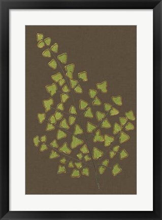 Framed Ferns on Linen III Print