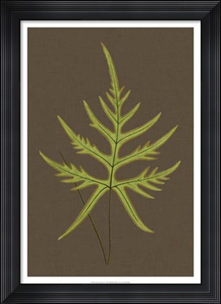 Framed Ferns on Linen IV Print