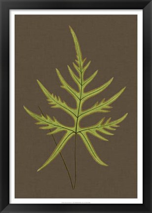 Framed Ferns on Linen IV Print