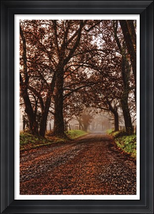 Framed Morning on Sparks Lane II Print