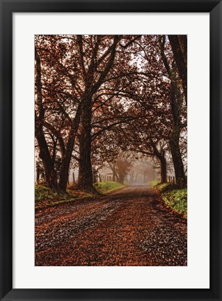 Framed Morning on Sparks Lane II Print