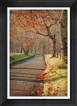Framed Morning on Sparks Lane III Print