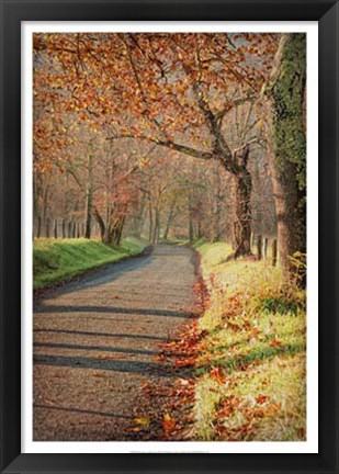 Framed Morning on Sparks Lane III Print