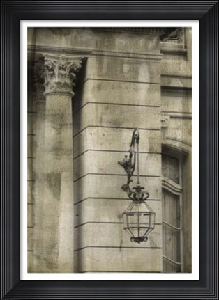 Framed Ornate Architecture III Print