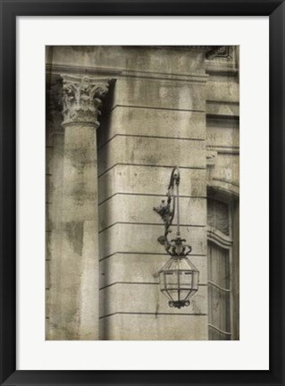 Framed Ornate Architecture III Print