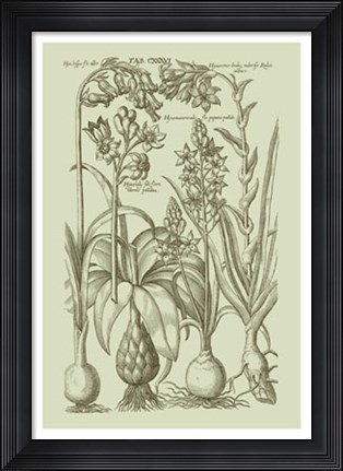 Framed Garden of Flora I Print