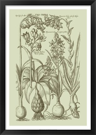 Framed Garden of Flora I Print