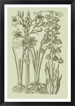 Framed Garden of Flora II Print