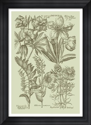 Framed Garden of Flora III Print