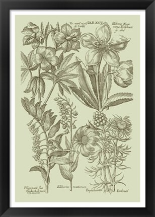 Framed Garden of Flora III Print