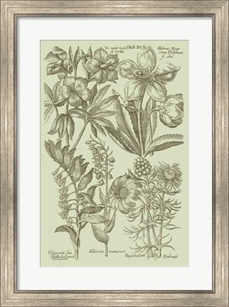 Framed Garden of Flora III Print