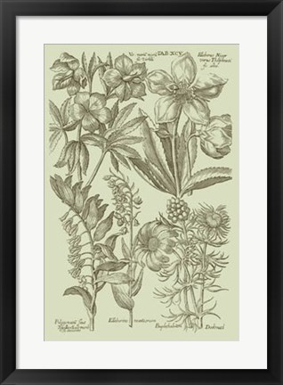 Framed Garden of Flora III Print