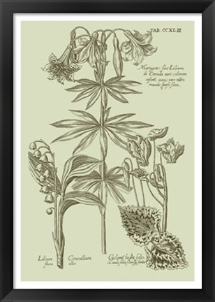 Framed Garden of Flora IV Print