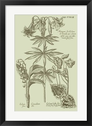 Framed Garden of Flora IV Print