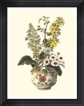 Framed Floral Medley II Print