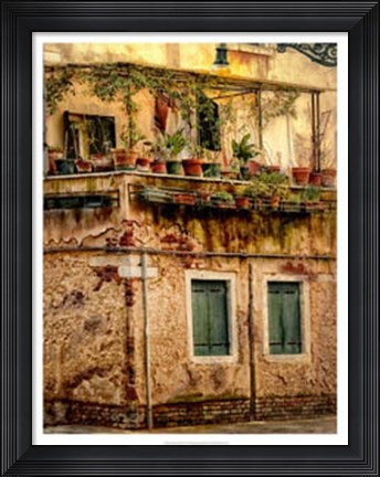 Framed Italian Garden Print