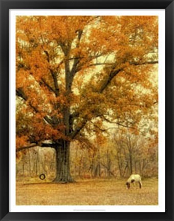 Framed Autumn Grazing Print