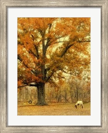 Framed Autumn Grazing Print