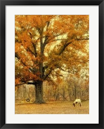 Framed Autumn Grazing Print