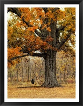 Framed Tree Swing Print