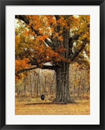 Framed Tree Swing Print