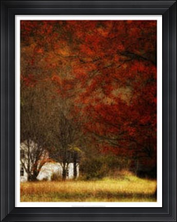 Framed Beyond October&#39;s Maple Print