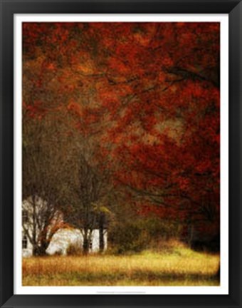 Framed Beyond October&#39;s Maple Print