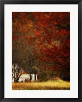 Framed Beyond October&#39;s Maple Print