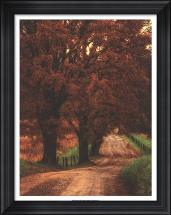 Framed Dirt Road Print