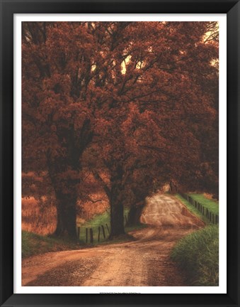 Framed Dirt Road Print