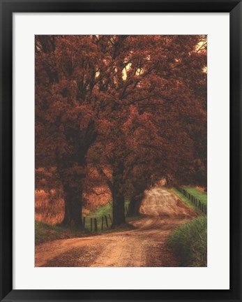 Framed Dirt Road Print