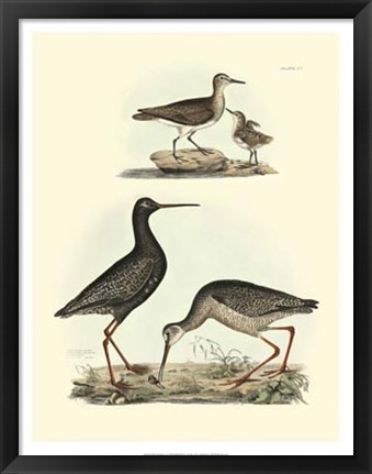 Framed Sandpipers I Print