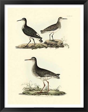 Framed Sandpipers II Print