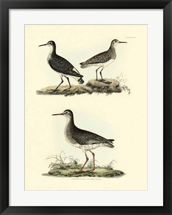 Framed Sandpipers II Print