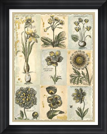 Framed Botanical Patchwork I Print