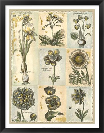 Framed Botanical Patchwork I Print