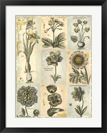 Framed Botanical Patchwork I Print