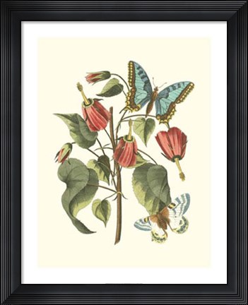 Framed Midsummer Floral I Print
