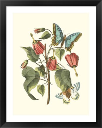 Framed Midsummer Floral I Print