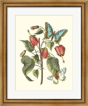 Framed Midsummer Floral I Print