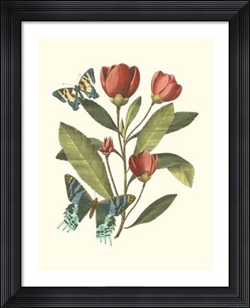 Framed Midsummer Floral II Print